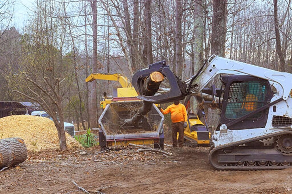 Tree stump completely removed and ground down in Willoughby Hills, OH, residential yard