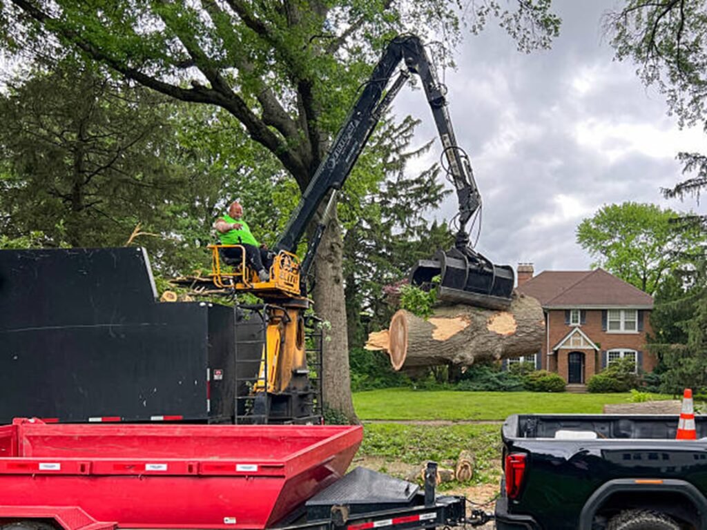 Crane removing a large tree trunk safely from a residential property in Beachwood, OH