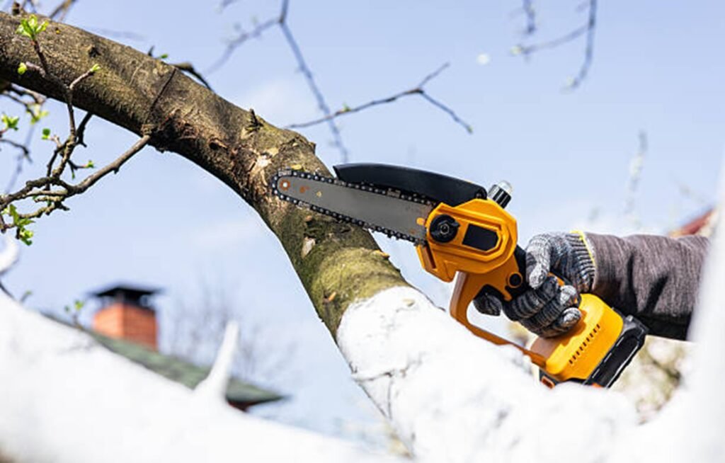 Tree trimming service cutting branches with a chainsaw to improve safety and tree health in Beachwood, OH