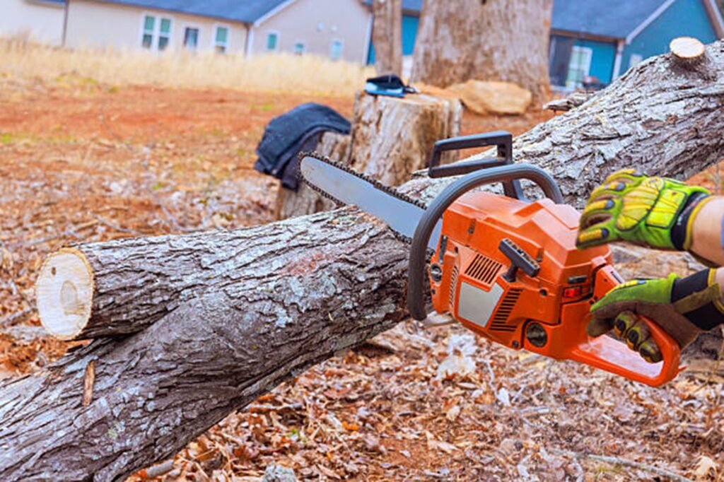 Chainsaw cutting a large tree trunk during a professional tree removal service in Beachwood, OH