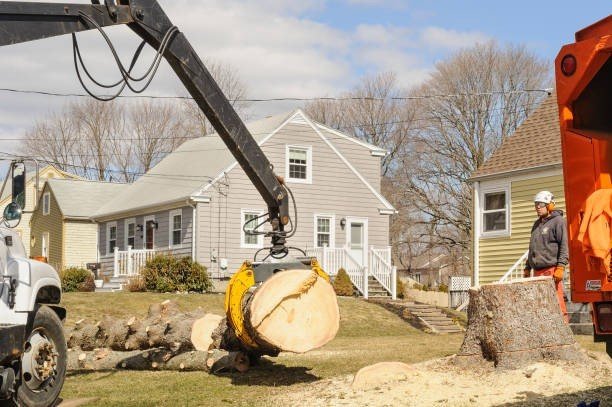 Crane lifting a heavy tree trunk during emergency tree removal service in Beachwood, OH