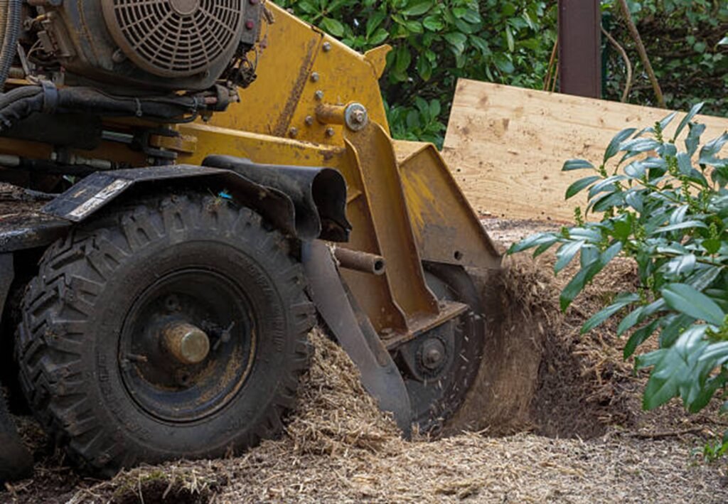 Professional stump grinding equipment removing a tree stump in Willoughby Hills, OH