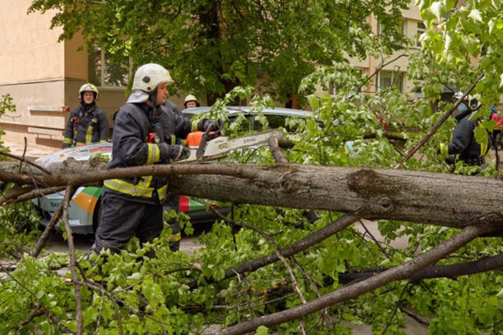 Emergency tree removal crew handling fallen tree and hazardous branches in Willoughby Hills, OH