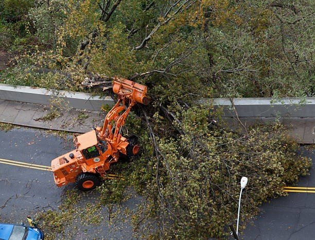 Heavy equipment is removing a large fallen tree blocking the roadway after storm damage